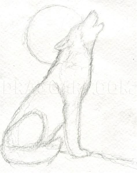 How To Draw A Howling Wolf, Step by Step, Drawing Guide, by finalprodigy | dragoart.com Werewolf Drawing, Drawing Guide, Wolf Drawing, Drawing Faces, Howling Wolf, Easy Drawings Sketches, Wolf Howling, Pencil Art Drawings, A Wolf