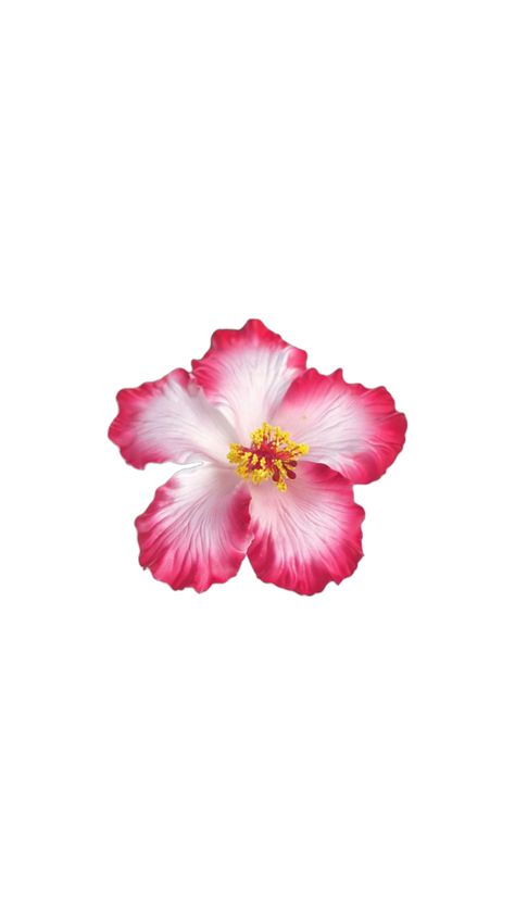 Hibiscus Flower Drawing, Hawaii Flowers, Cross Wallpaper, Pink Flowers Wallpaper, Cute Summer Wallpapers, Wallpaper Iphone Summer, Flower Icons, City Wallpaper, Pretty Plants