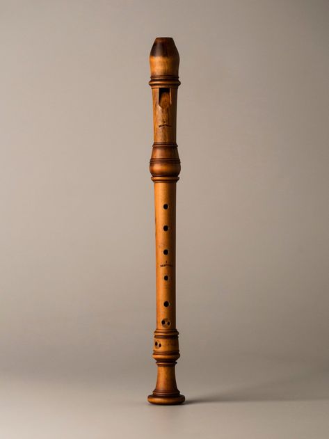 Recorder Musical Instrument, Recorder Instrument, Tin Whistles, Flute Recorder, Recorder Flute, Traditional Instruments, David Kushner, Flute Instrument, Plants Photography