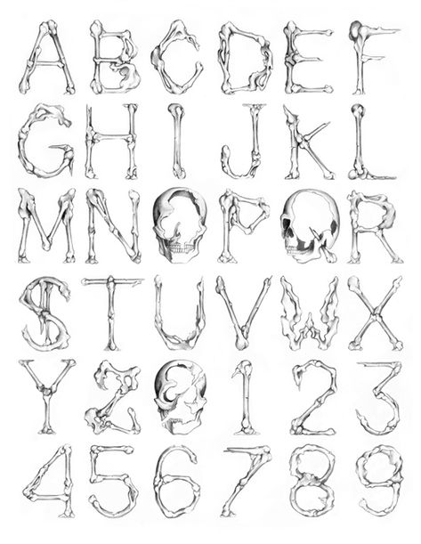 CUSTOM LETTERS, BEST OF 2012 — LetterCult Bone Font Alphabet, Bone Font Lettering, D Fonts Letter, Bone Art Drawing, Bones Alphabet, Bone Lettering, Skull Lettering, Bone Alphabet, Bone Font