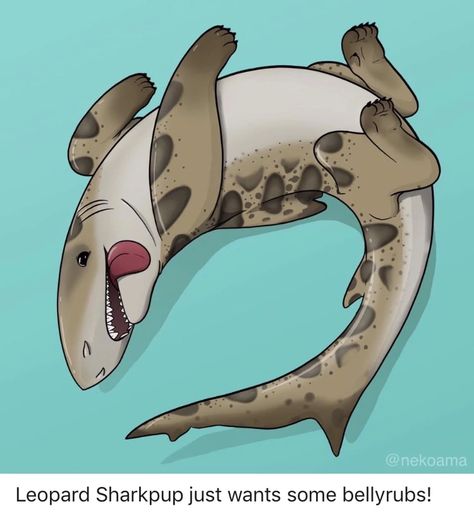 Shark Puppies, Sea Puppies, Dnd Pets, Shark Puppy, Shark Dog, Leopard Shark, Happy Shark, Shark Art, Shark Lover