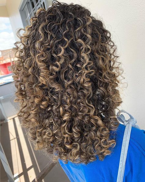 Curly Highlights Light Brown, Bolyoge Hair Balayage Curly, Curly Dark Ginger Hair, Curl Hair Balayage, Gold Brown Curly Hair, Curly Hair 3b/3c Highlights, Curly Hair Dye Ideas Brown Skin, Chestnut Brown Highlights Curly Hair, Highlights On Curly Dark Hair