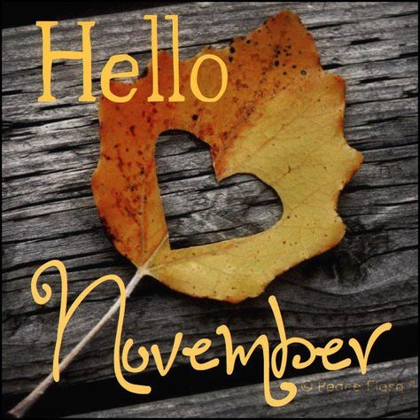 CUT WITH SCISSORS OR PUNCH IF THE LEAF WILL STAND UP TO IT IF STILL GREEN ENOUGH.  CAN WRITE ON LEAF WITH CHALK PAINT TOO November Images, Neuer Monat, Welcome November, November Quotes, Sweet November, Happy November, Hello November, November Month, November Birthday