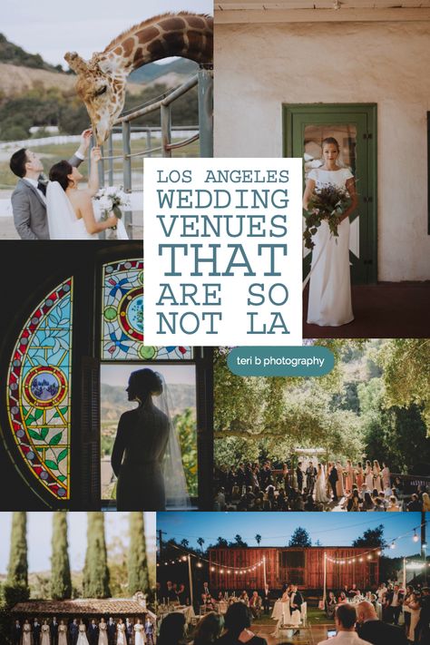 Los Angeles Wedding Venues that feel nothing like LA // Unique Venues in the Los Angeles Area // teri b photography Unique California Wedding Venues, Los Angeles Wedding, Los Angeles Wedding Venues, Wedding Venues Los Angeles, Inexpensive Wedding Venues California, Wedding Venues In Southern California, Affordable Wedding Venues Southern California, La Wedding Venues, Wedding Stills