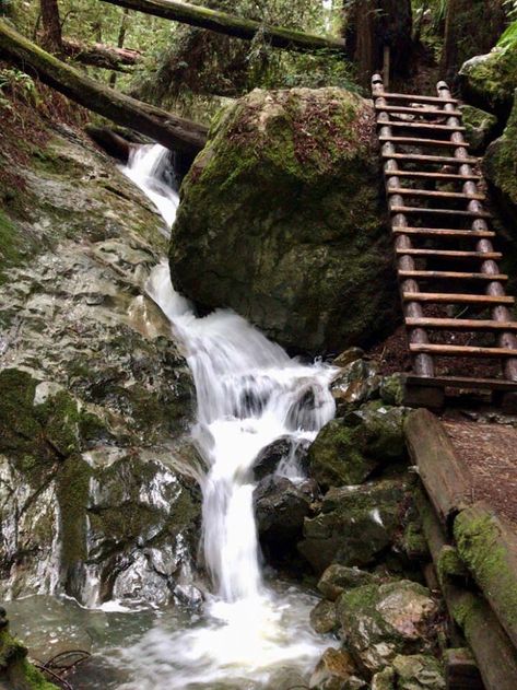 Stinson Beach California, Marin County California, Mount Tamalpais, Stinson Beach, California Hikes, California Coastline, Cali Life, Summer 2025, Marin County