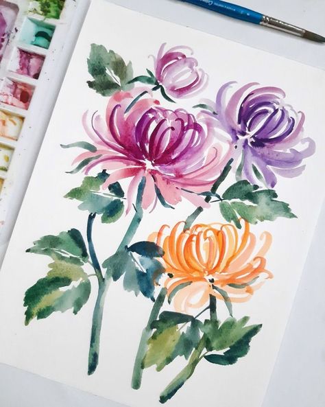 Watercolor Chrysanthemum Flower, Chrisantemum Flower Painting, Crysentimum Flower Drawing, Crysantenum Flower Painting, Chrysanthemum Painting Easy, Chrysanthemum Watercolor Painting, Draw Chrysanthemum Flower, Crysantenum Flower Drawing, Chrisantemum Flower Drawing