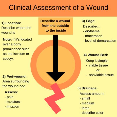 Wound Care Pearls with Dr Foy White-Chu - The Curbsiders Wound Care Documentation Template, Wound Care Nursing Notes, Skin Integrity And Wound Care Nursing, Wound Healing Stages, Wound Assessment Nursing, Home Care Nurse, Wound Care Nursing Documentation, Nursing Wound Care, Wound Healing Nursing