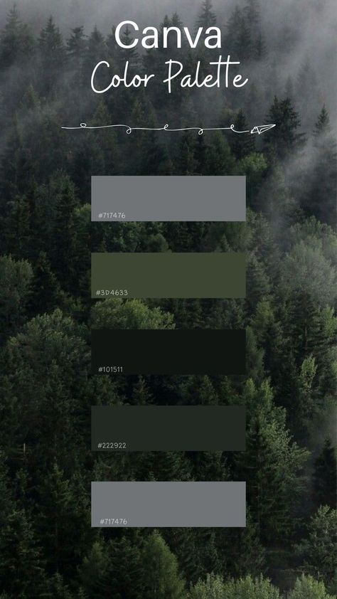 Canva Color Palette Codes Black, Green Canva Color Palette, Color Palate Canva, Canva Palettes Color, Canva Colour Palettes, Canva Color Codes, Website Palette, Canva Color Palette Codes, Canva Color Palette