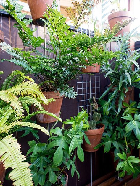 Gardening Ideas For Renters Rental Garden Ideas, Backyard Ideas For Renters, Rental Garden, Lasagna Gardening, Small Urban Garden, Gardening Techniques, Patio Interior, Creative Gardening, Apartment Garden