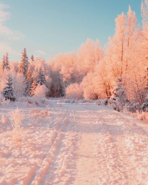 Pretty Landscapes, Biome, Winter Wallpaper, Winter Scenery, Winter Pictures, Winter Wonder, To Infinity And Beyond, Winter Aesthetic, Nature Aesthetic