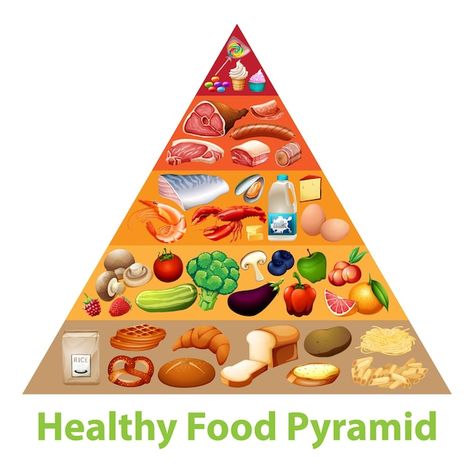 Healthy food pyramid chart | Free Vector #Freepik #freevector #food-pyramid #carbs #science-infographic #carbohydrates Food Event Ideas, Healthy Food Pyramid, Healthy Eating Pyramid, Nutrition Pyramid, Food Event, Website Banner Design, Salmon And Shrimp, Protein Nutrition, Food Pyramid