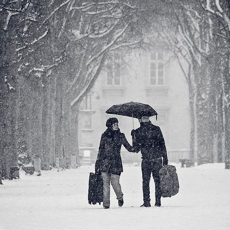 Paris under the snow by Gregory Bastien, Winter People, Under An Umbrella, Paris Winter, Snow Photography, Digital Photography School, Under My Umbrella, Tree Images, Winter Love, Baby It's Cold Outside