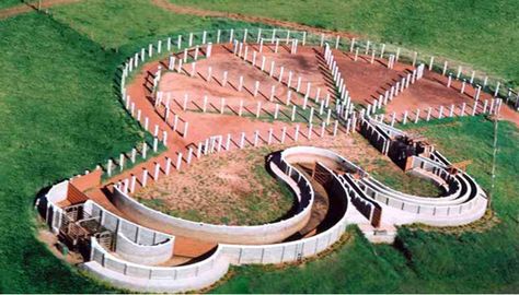 Temple Grandin's design from a up high.   Notice how the cattle will be moving in a constant circle motion and the gentle curves of walls.   This keeps the cattle calm and confused. Cattle Facility, Cattle Corrals, Temple Grandin, Cattle Barn, Cattle Ranch, Farm Plans, Show Cattle, Future Farms, Ranch Farm