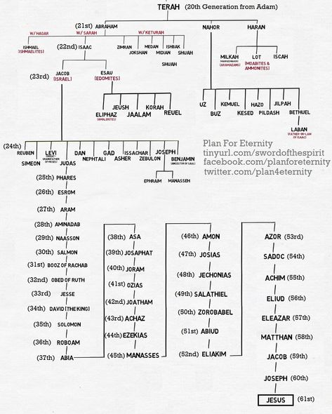 Matthew 1:1 - Jesus' Genealogy from Abraham Genealogy Of Abraham, David From The Bible, Biblical Genealogy, Jesus Genealogy, Bible Family Tree, Bible Genealogy, Genealogy Of Jesus, Book Of Matthew, Son Of David