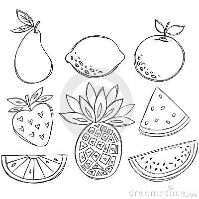 Fruits Line Art, Fruit Outline, Watermelon Tattoo Black And White, Orange Fruit Tattoo Black And White, Fruit Drawing Black And White, Watermelon Outline, Fruits Outline Pictures, Watermelon Tattoo, Black And White Google