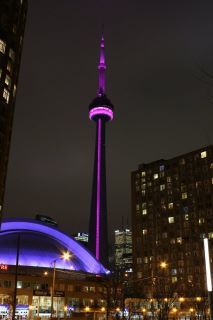 CN Tower lit in pink for "Wear it Pink Day" Cn Tower At Night, Cn Tower Wallpaper, Cn Tower Aesthetic, Canada Cn Tower, Canada Toronto City, Wear It Pink, Tower Wallpaper, Tower Light, Canada Eh