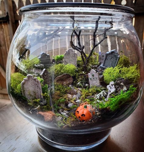 Bobby T on Instagram: “Made my own lil spooky graveyard today!  #graveyard  #terrarium  #artsandcrafts  #spookytown #halloween #cemetery  #horrormovies…” Cemetary Terrarium Diy, Cemetarium Diy, Haunted Terrarium, Spooky Terrarium, Graveyard Terrarium, Halloween Terrarium, Lil Spooky, Halloween Cemetery, Spooky Graveyard