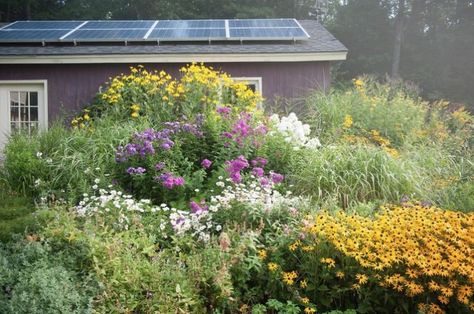 vermont-garden-colorful-perennials-solar-panels-gardenista Vermont Garden, Colorful Perennials, Terraced Landscaping, Solar Power Diy, Solar Power Panels, English Cottage Garden, Moon Garden, Pretty Landscapes, Solar Panel Installation