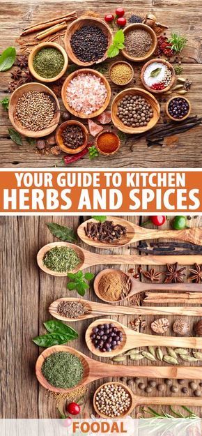 For sweet desserts or savory entrees, herbs and spices are crucial components to full-flavored dishes for the flavor nuances they provide – aroma, complexity, depth, warm spiciness, and cooling herbal notes.  Our complete guide provides all the info you need to successfully use these culinary essentials. #herbs #spices #foodal Kitchen Knowledge, Culinary Tips, Food Spices, Sauces Recipes, List Of Spices, Herbs List, Spice Combinations, Dry Mixes, Spice Blends Recipes