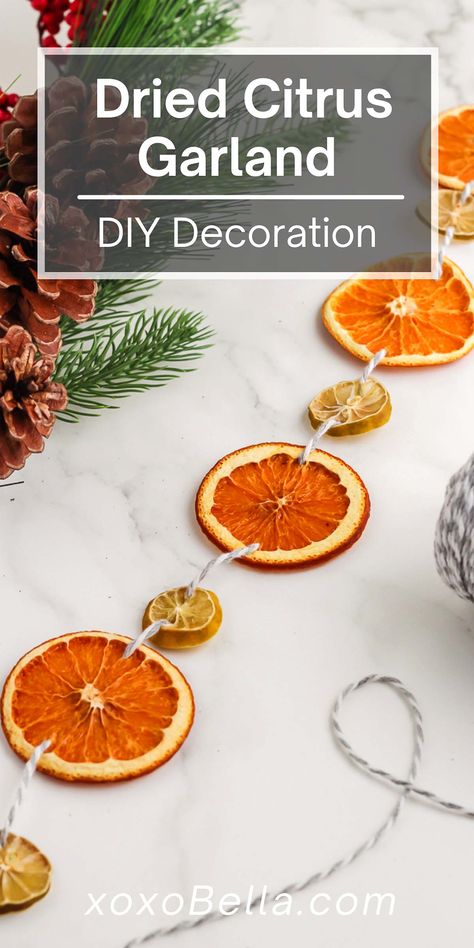 A homemade dried orange garland adds a touch of charm to your seasonal Christmas decorations and it's easy to make this DIY dried orange garland yourself, even if you don't often do craft projects. Once you know how to make a dried citrus garland, you will be able to introduce both seasonal scent and colour into your home. A garland of orange slices is great for decorating your Christmas tree or you could hang it on the wall, the back of a door or even on the banister. Diy Dried Fruit Garland, Dried Orange Garland Christmas, Drying Oranges, Dried Citrus Garland, Fall Garland Diy, Homemade Garland, Orange Christmas Decor, Citrus Garland, Dried Orange Garland