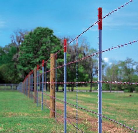 T Post Fence, Agricultural Fencing, Livestock Fence, Different Types Of Fences, Fence Planning, Barbed Wire Fence, Wood Fence Post, Field Fence, Fence Construction