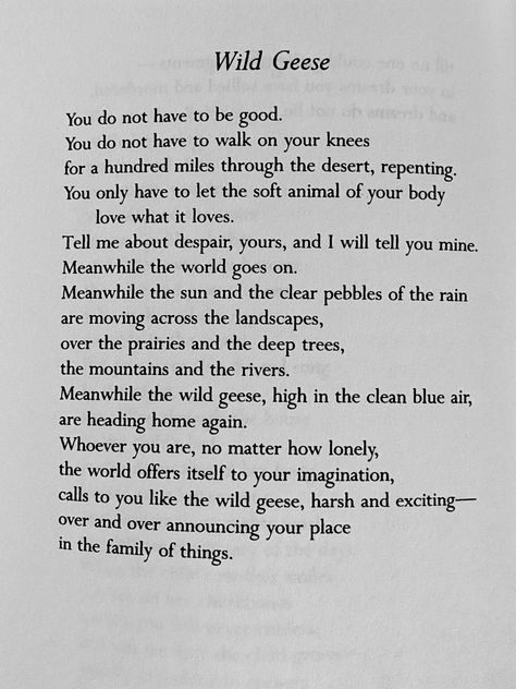 Wild Geese poem Wild Geese
You do not have to be good Mary Oliver Poems Wild Geese, Poetry Mary Oliver, Mary Oliver Love Poem, Mary Oliver Books, Poem Mary Oliver, Mary Oliver Tattoo, Wild Geese Poem, Mary Core, Wild Geese Mary Oliver