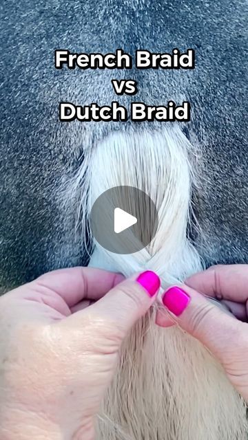 Roany Pony Farm on Instagram: "One tiny step is the only difference between the Dutch braid and the French braid. I prefer the Dutch braid for looks and staying power, but I finally ordered some Quikbraid though, so maybe that will change. I’ve always just braided with water so I might hate sticky horse hair! 😅
•
•
•
#princesstheminihorse#minihorse#miniaturehorse#tailbraid#braidedtail#horsebraiding#equestrian#equestrianstyle#horsegirl#horseshow#horseplaits#pony#minipony#shetty#minishetty#shetlandpony#ponylove" How To Dutch Braid Step By Step, Braid Quotes, Wedding Reception Hairstyles, Hair Color Names, Horse Mane Braids, Horse Hair Braiding, Braided Pony, Hair Color Brands, Over 60 Hairstyles