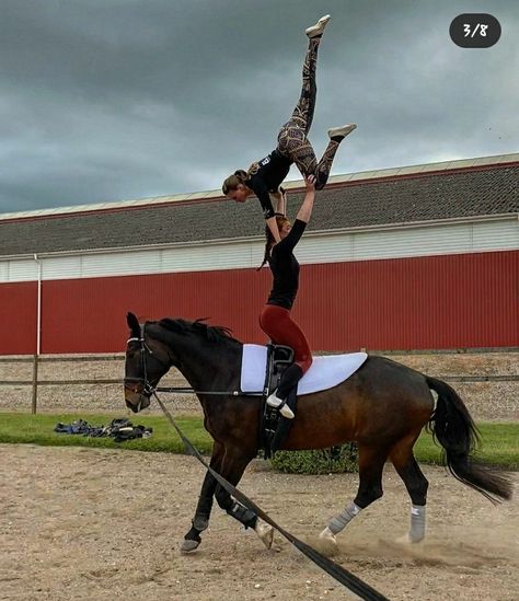 Vaulting Horse, Horse Vaulting, Horse Tack Rooms, Trick Riding, Horse Videos, Horse Tack, Vaulting, Karate, Gymnastics