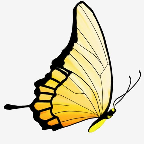 Illustration Butterfly, Butterfly Cartoon, Drawing Png, Cartoon Butterfly, Butterfly Background, Car Drawing, Animal Png, Butterfly Illustration, Butterfly Clip Art