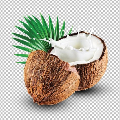 Coconut Shell Art, Coco Png, Coconut Images, Pili Nut, Juice Splash, Coconut Leaves, Coconut Dream, Coconut Soap, Dream Cream