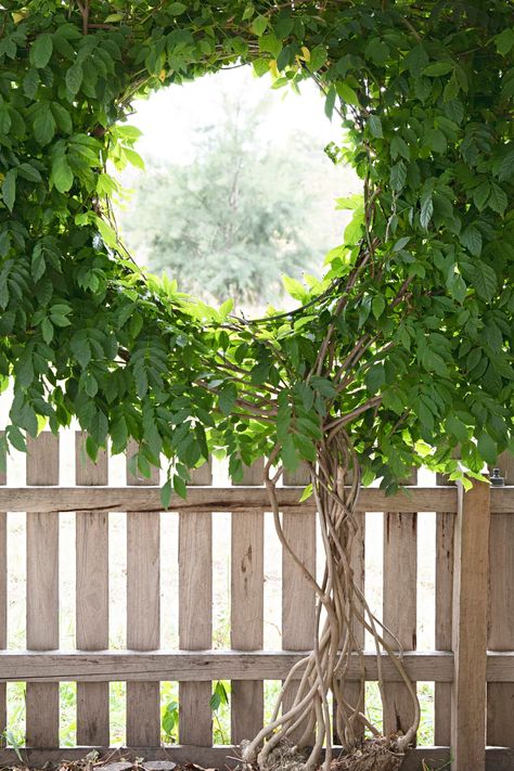 Whimsical Garden Backyards, Whimsical Landscaping, Garden Window, Have Inspiration, Unique Gardens, Australian Homes, Garden Cottage, Diy Garden Decor, Natural Style