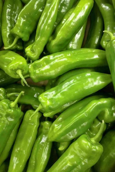 Types Of Chili, Types Of Chili Peppers, Cubanelle Pepper, Fruits And Vegetables Pictures, Chilli Plant, Types Of Peppers, Chile Serrano, Green Chili Peppers, Vegetable Pictures