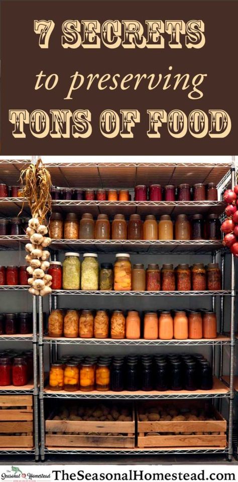 7 Secrets to Preserving Tons of Food - The Seasonal Homestead Homesteading Food Storage, Food Preservation Recipes, Homestead Meals, Purposeful Pantry, Seasonal Homestead, September Meals, Couples Jar, Homestead Pantry, Organized Things