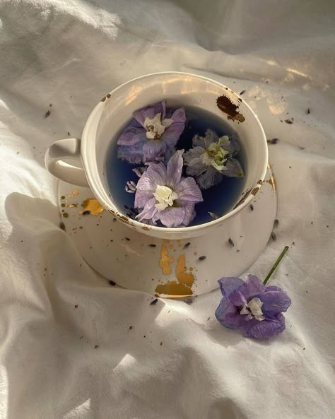 Aesthetic Tea, Lavender Aesthetic, Pretty Drinks, Trik Fotografi, Princess Aesthetic, + Core + Aesthetic, Flower Tea, Purple Aesthetic, Samhain