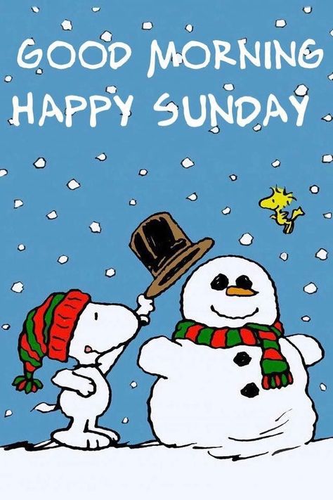 20 Good Morning Sunday Quotes To Get Your Day Started Morning Sunday Quotes, Good Morning Sunday Quotes, Snoopy Friday, Happy Sunday Pictures, Christmas Sunday, Good Morning Christmas, Good Morning Winter, Good Morning Sunday, Sunday Quotes Funny