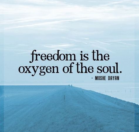 Short Freedom Quotes Freedom Love Quotes, Freedom Quotes Life, Freedom Images, Financial Freedom Quotes, Independent Quotes, Perspective Quotes, Freedom Quotes, Choices Quotes, Freedom Love