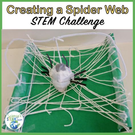 October Science, Spider Lessons, Spiders Preschool, Halloween Theme Preschool, Spider Unit, Halloween Stem Activities, Spooky Science, Halloween Activities Preschool, Stem Activities Preschool