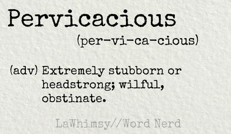 Word Nerd: Pervicacious – Lawhimsy Word Descriptions, Obscure Words, Untranslatable Words, Posh Words, Unique Words Definitions, Fancy Words, Uncommon Words, Interesting English Words, Big Words