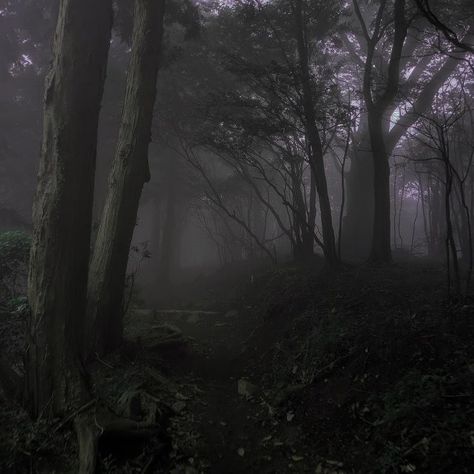 Nature, Dark Naturalism Aesthetic, Corvina Clemm, Dark Fairycore, Dark Naturalism, Dark Forest Aesthetic, Forest Core, Dark Nature, Dark Landscape