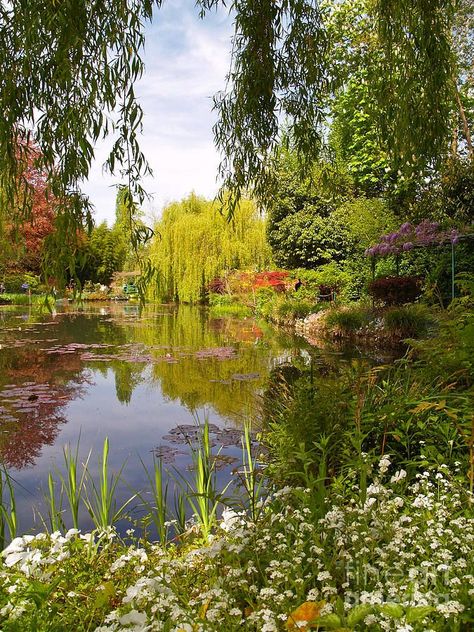 Monet's Water Garden 2 at Giverny by Alex Cassels | Nature aesthetic, Beautiful landscapes, Beautiful nature Fatemeh Core, Cottagecore Landscape, Söt Katt, Nature Aesthetic, Pretty Places, Water Garden, Claude Monet, Green Aesthetic, Dream Garden