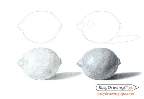 Lemon Pencil Drawing, Lemon Drawing Realistic, How To Draw A Lemon, Draw Lemon, Lemon Sketch, Drawing Lemon, Lemon Drawing, Sketching Tips, Pencil Shading