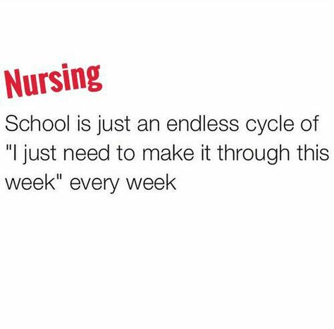 Study For Nursing School, Nursing School Quotes, Nursing School Memes, Nursing Student Humor, Nursing Motivation, Lpn Schools, School Nursing, Mountain Love, Nursing School Motivation