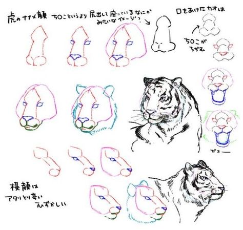 big cat 2 of 2 Tiger Drawing Tutorial, Tiger Art Drawing, Draw A Tiger, Tiger Sketch, Tiger Drawing, Tiger Illustration, Nature Sketch, 강아지 그림, Tiger Face