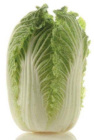 Manufacturer & Exporters of Celery Cabbage in India. M/s. Fresh Veggi offering fine quality Celery Cabbage at Affordable Price. | ID - 1294578 Korean Chili Powder, Cabbage Varieties, Busy Mom Recipes, Veggie Art, Bubble And Squeak, Vegan Athletes, Chinese Cabbage, Meat Pie, Green Cabbage