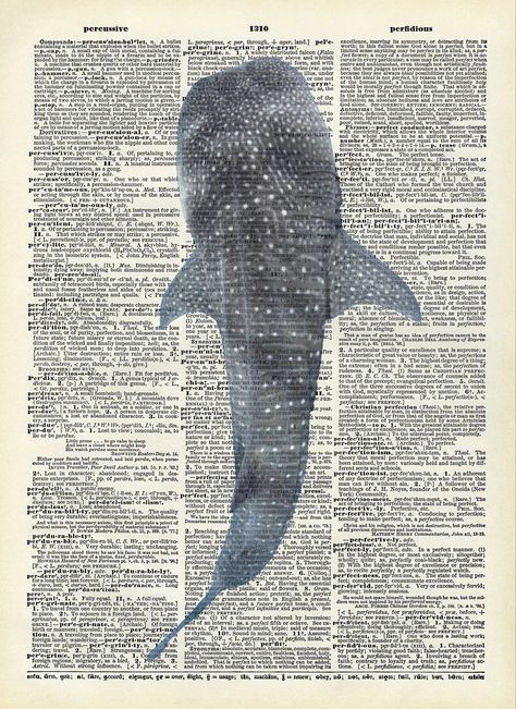 Shark Poster Prints, Navy Photo Wall, Whale Poster Vintage, Ocean Animals Poster, For My Wall, Whale Shark Poster Aesthetic, Ocean Poster Prints, Sea Life Poster, Shark Poster Vintage