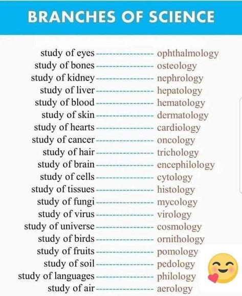 Cardiology Study, Branches Of Science, Ielts Tips, Study Biology, High School Curriculum, Biology Facts, Past Exam Papers, Gk Knowledge, English Writing Skills