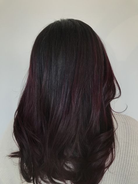 Purple hair with red undertone 💜 Black Hair With Plum Balayage, Black Hair With A Hint Of Red, Black Hair With Dark Red Balayage, Dark Brunette Hair With Burgundy, Dark Red Hair With Purple Undertones, Black Hair With Tint Of Red, Red Under Tones Hair, Black Red Undertone Hair, Dark Hair With Burgundy Undertones