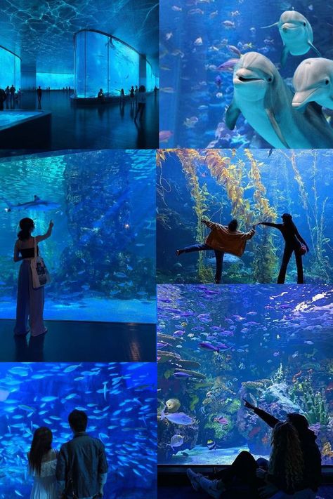 Aquarium Date Pictures, Aquarium Date Aesthetic Couple, Aquarium Date Outfit Ideas, Date Aquarium, Aquarium Couple Photos, Planetarium Date, Aquarium Date Aesthetic, Life Is A Simulation, Aquarium Photography