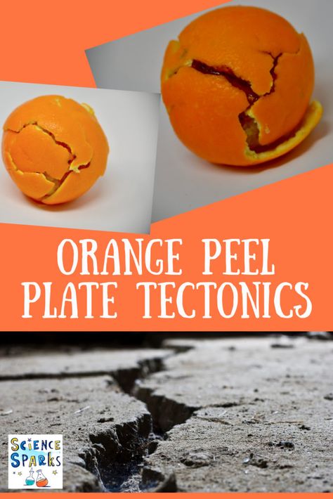 plate tectonics with an orange. Fun demonstration of plate tectonics using an orange Geology For Kids, Tectonic Plates Activities, Geology Activities, Earth Science Experiments, Earth Science Activities, Earth Science Lessons, Science Experiments For Kids, 4th Grade Science, 6th Grade Science