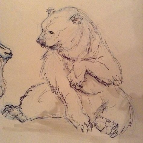 Quick sketch of Grizzly bear by Ashley Thomson Brown Bear Sketch, Grizzly Bear Drawing Sketches, Bear Growling Drawing, Bear Sketch Cute, Bear Sketch Drawing, Bear Art Reference, Bear Drawing Reference, Grizzly Bear Sketch, Bear Drawing Sketches